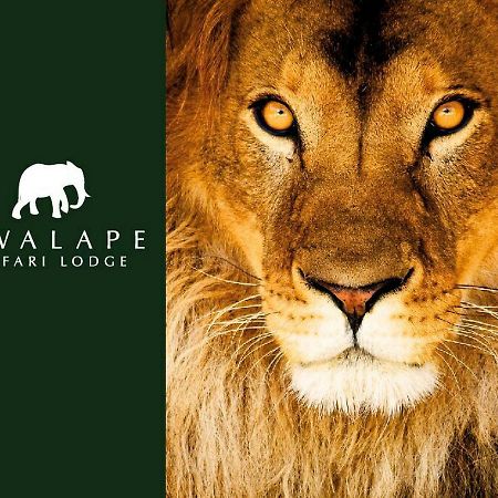 Kwalape Safari Lodge Kasane Exteriör bild